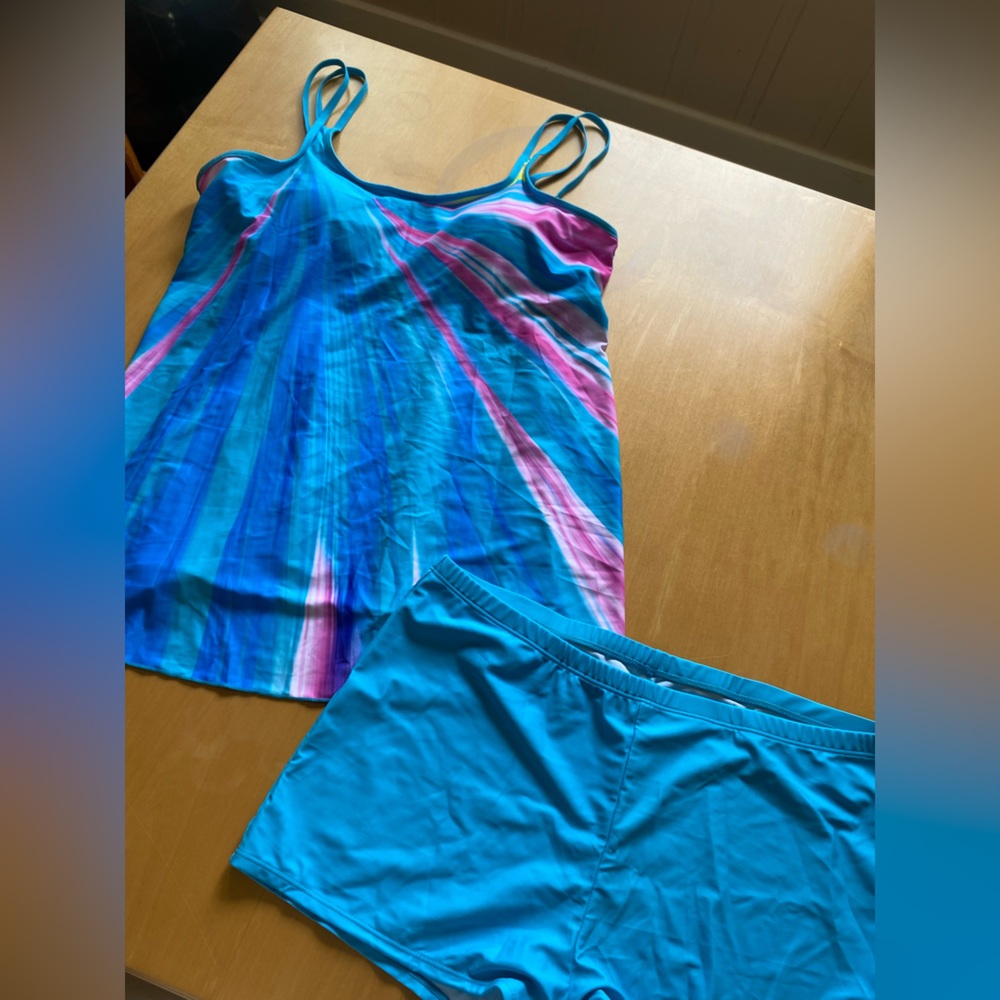 Blue and Pink Women's Swim Set